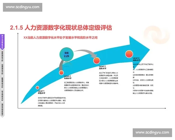 技术暂停下企业创新与数字转型的策略探索与实践分析